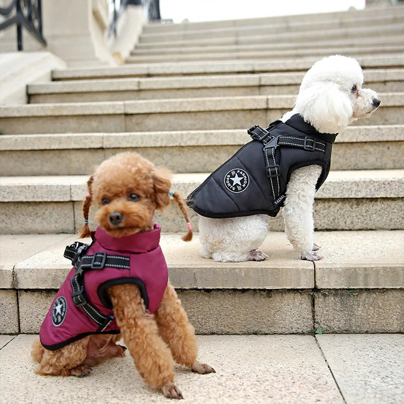 Cozy Waterproof Dog Jacket